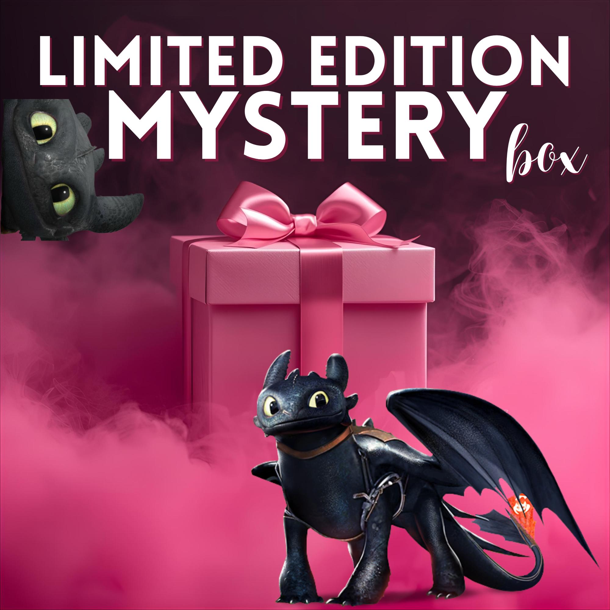 Limited Edition Mystery Box